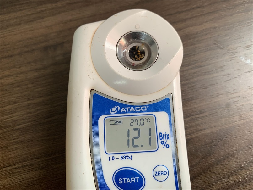 Blueberries Photo 15