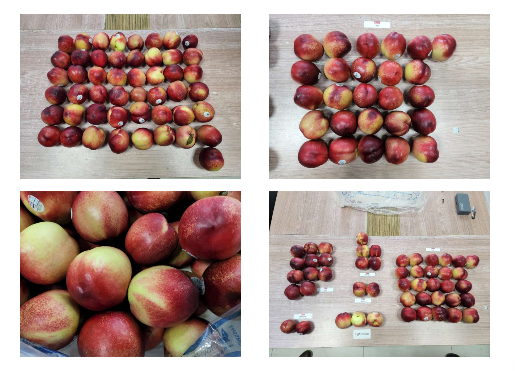 Nectarines Photo 3