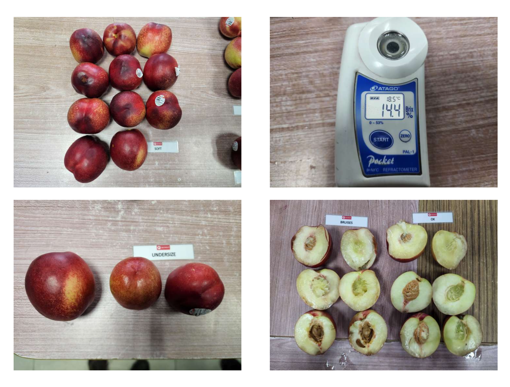 Nectarines Photo 5