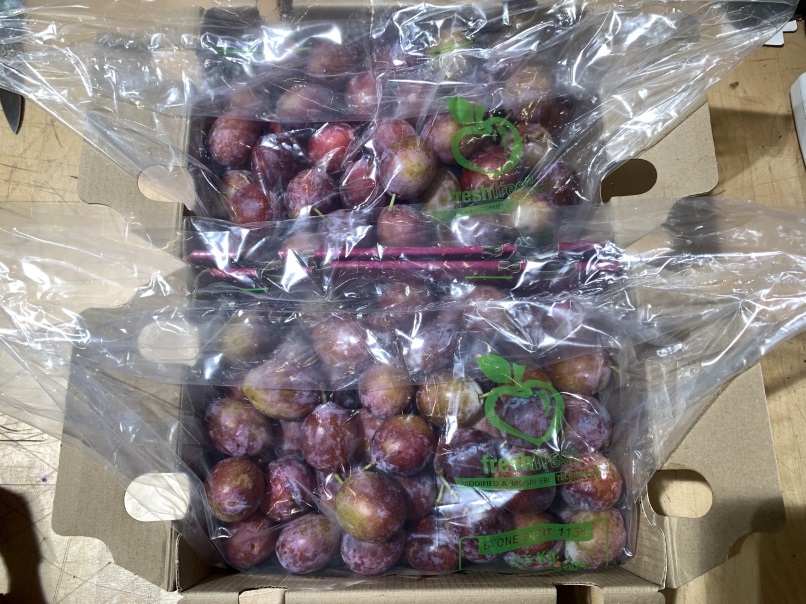 Sugar Plums Photo 13