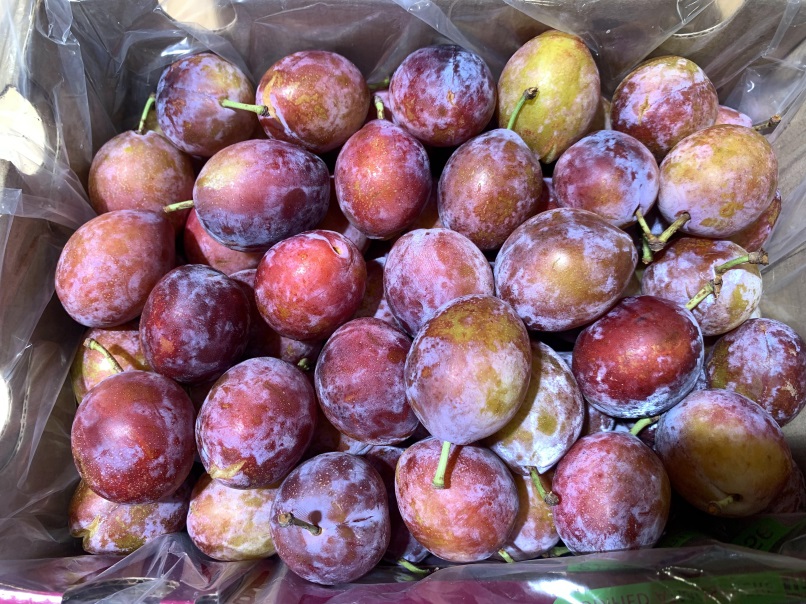 Sugar Plums Photo 14